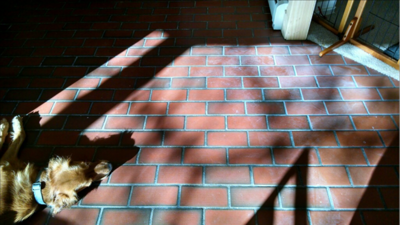 2016-09-01 01.30.44.png